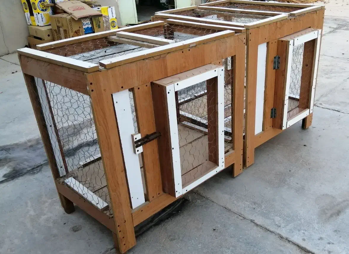 قفس پرنده جفت خون کبوتر|لوازم جانبی حیوانات|بوشهر, |دیوار