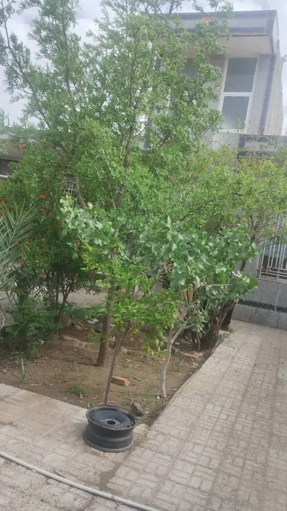 تصویر 8