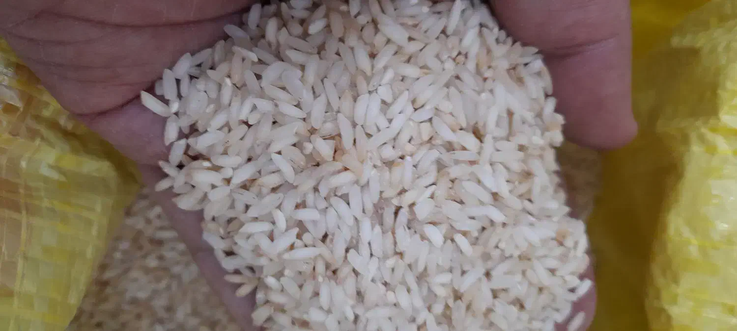 برنج عنبر درجه دو (زرده)|خوردنی و آشامیدنی|اهواز, کمپلو جنوبی|دیوار