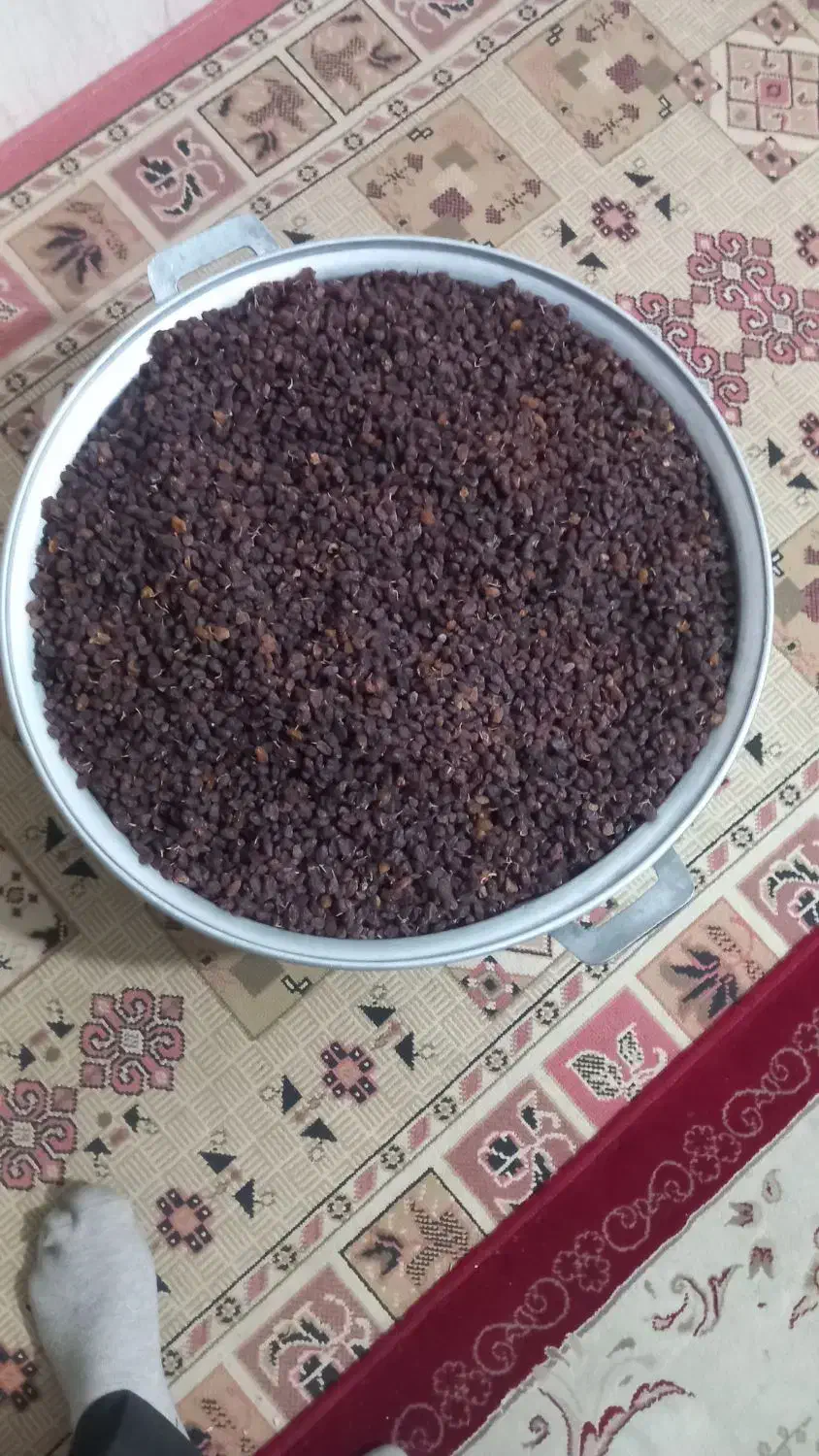 کشمش افتابی شیرین امسالی|خوردنی و آشامیدنی|یزد, |دیوار