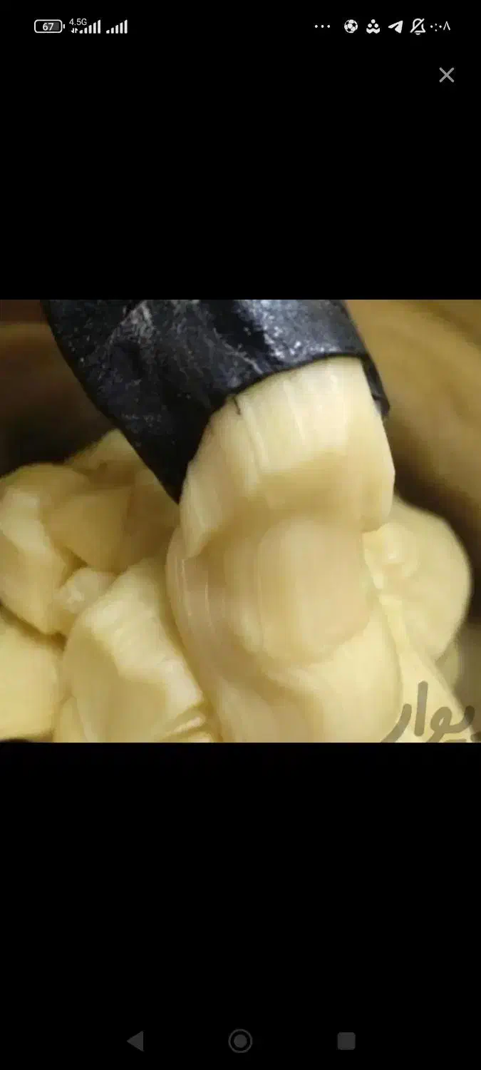 روغن حیوانی درجه یک|خوردنی و آشامیدنی|پاوه, |دیوار