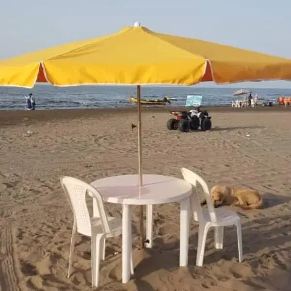 عرضه چتر گرد ضد آب و پارچه ای بهترین کیفیت|مصالح و تجهیزات ساختمان|تهران, جوادیه|دیوار