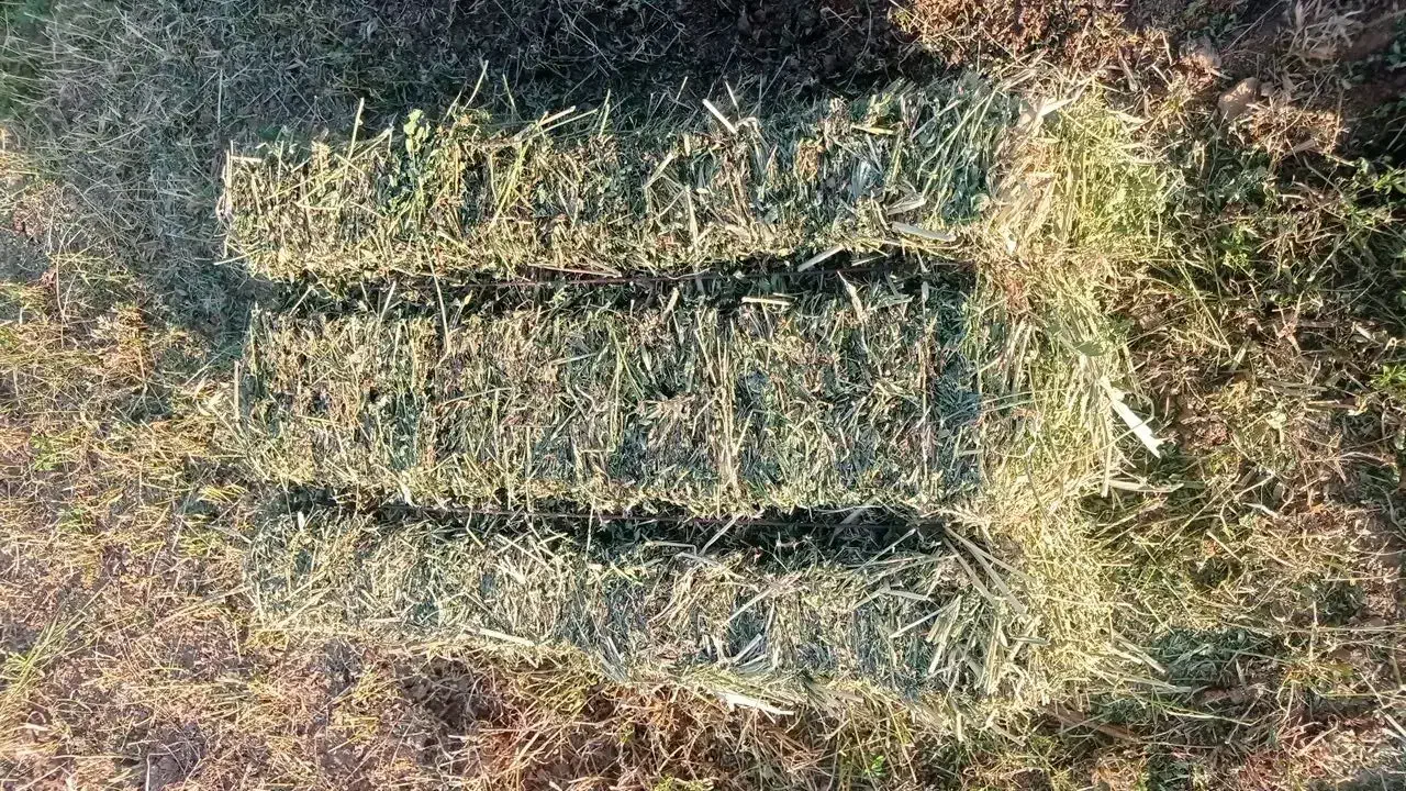 خرید و فروش یونجه و کاه|خدمات باغبانی و درختکاری|میانه, |دیوار