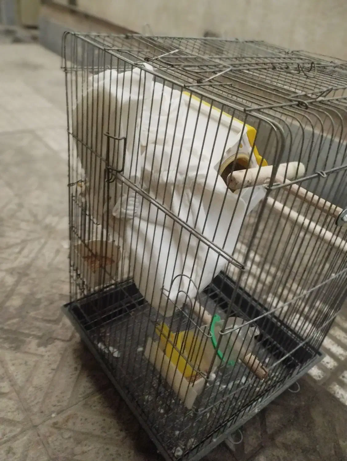 قفس پرنده با تمام لوازم|لوازم جانبی حیوانات|فردیس, شهرک شهید حسینی|دیوار