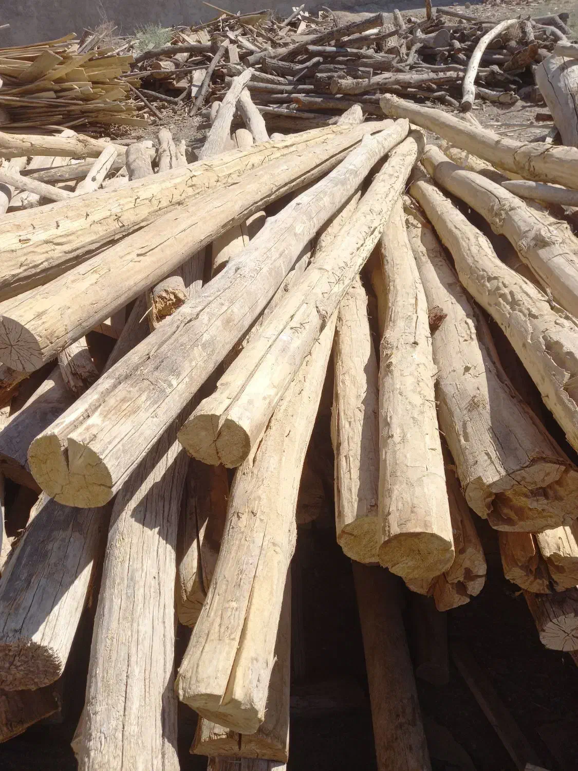 خرید چوب|خدمات باغبانی و درختکاری|آباده, |دیوار