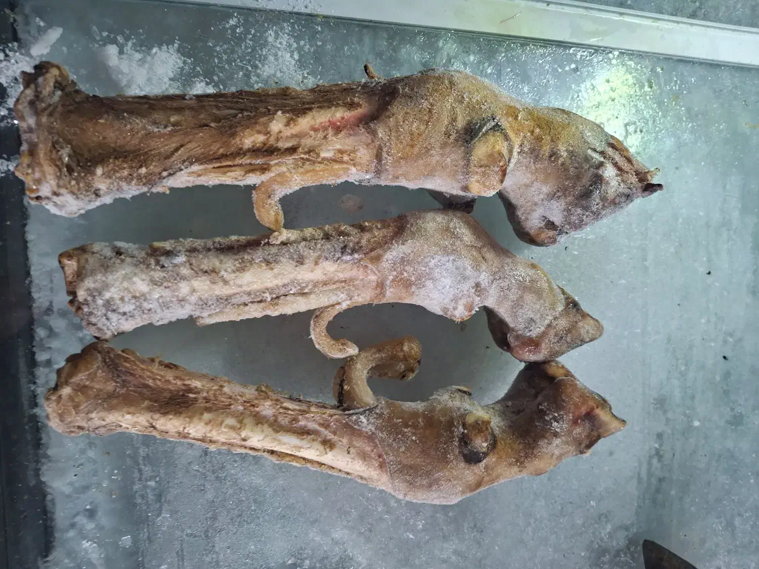 پاچه گوسفندی|عمده‌فروشی|تهران, افسریه جنوبی|دیوار