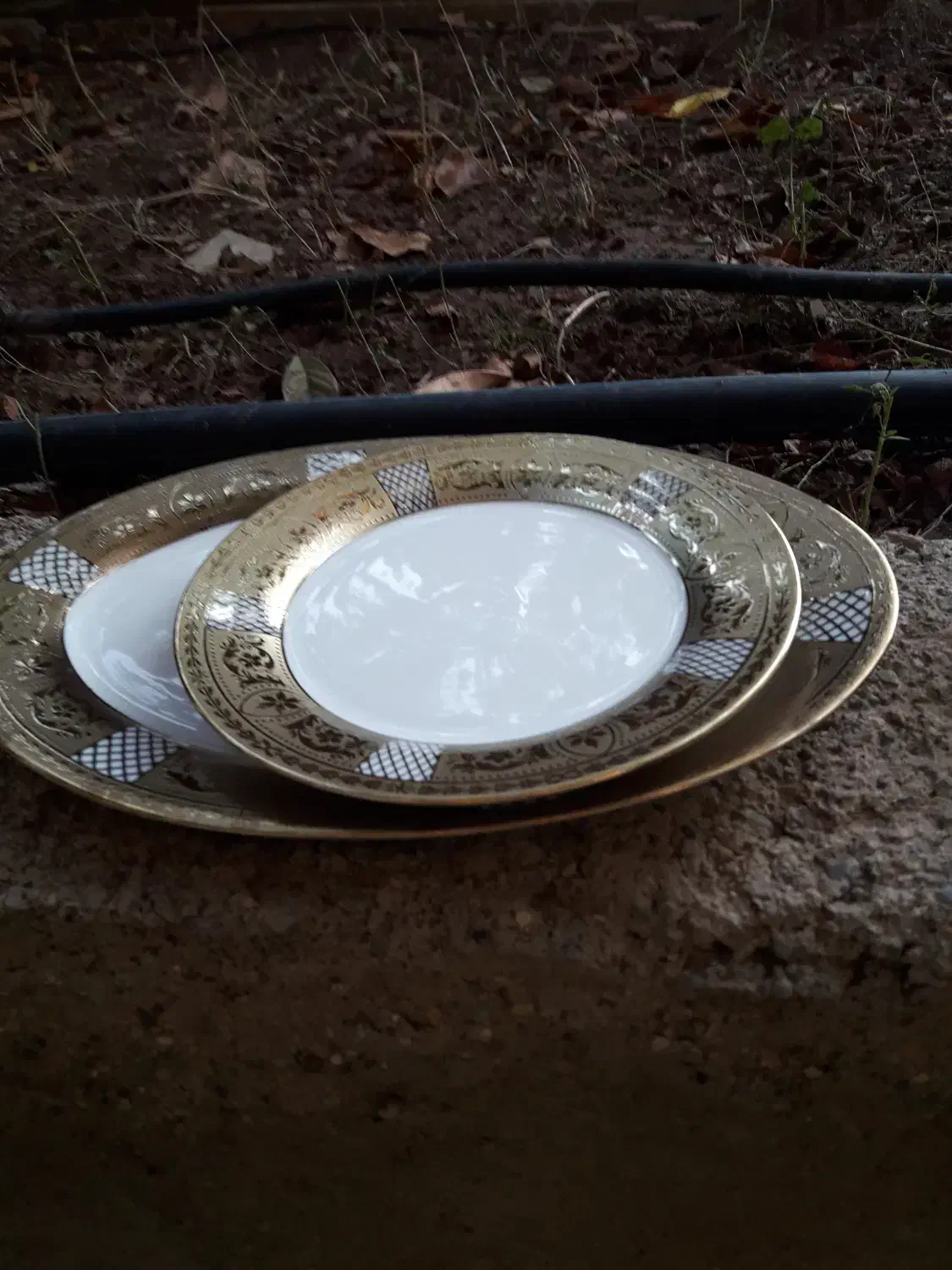 ظروف چینی 6نفره|ظروف سرو و پذیرایی|هشتگرد, هیو|دیوار