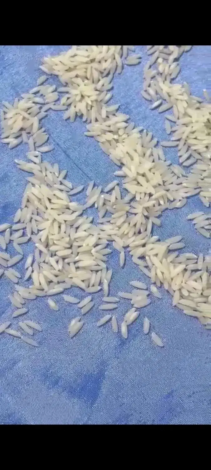 برنج شمال، درجه یک ،پخت ب شرط|خوردنی و آشامیدنی|آمل, |دیوار