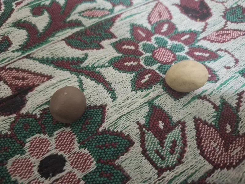 سنگ|کلکسیون اشیاء عتیقه|شیراز, آبیاری|دیوار