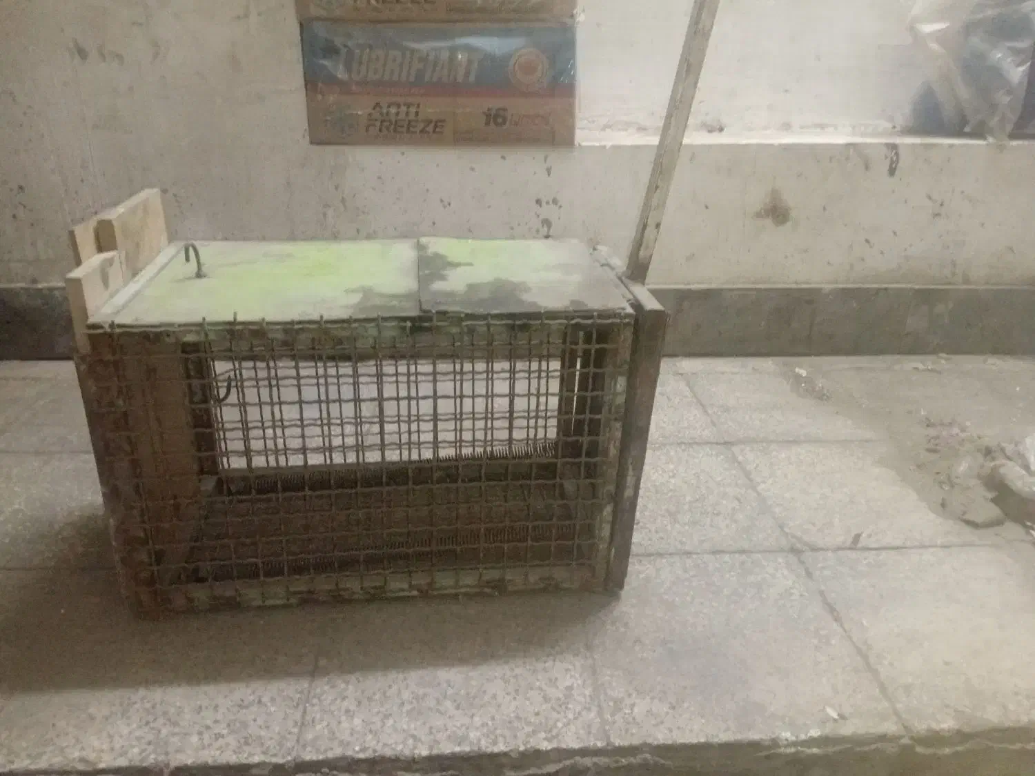 تله گربه گیر|لوازم جانبی حیوانات|کاشان, عربها|دیوار