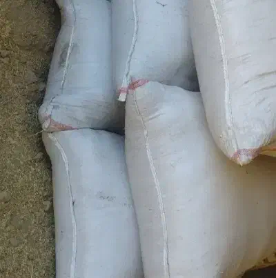 کاه نخود|لوازم جانبی حیوانات|زاغه, |دیوار