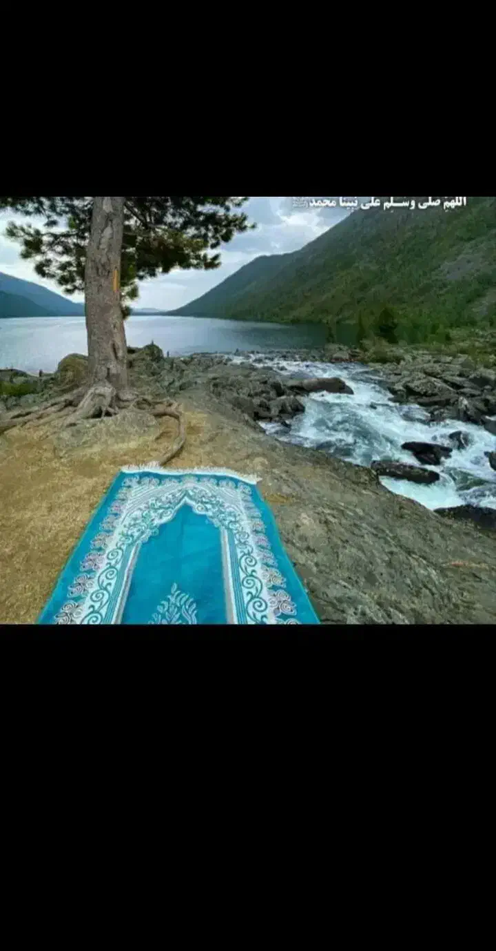 ملا|خدمات پذیرایی، مراسم|آزادشهر, |دیوار