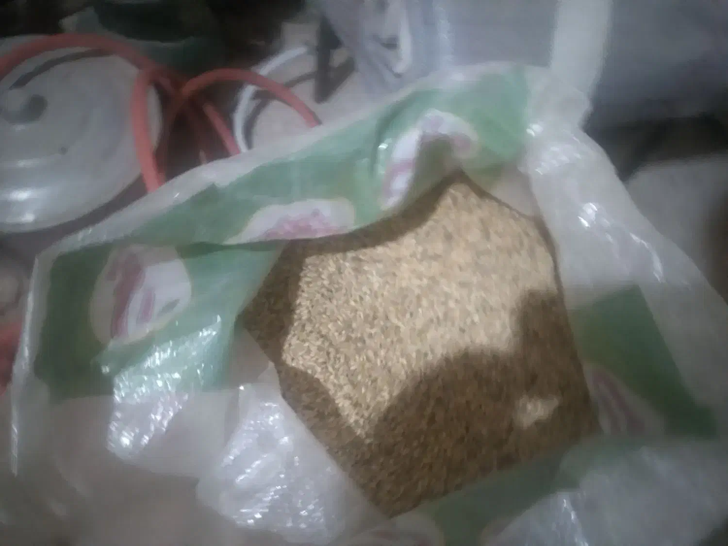 گندم|خدمات باغبانی و درختکاری|قره ضیاالدین, |دیوار