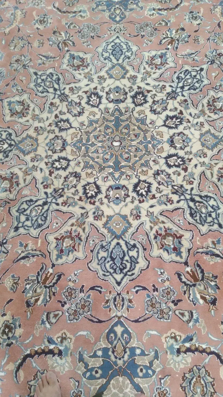 فرش دستباف۲۴متری|فرش|شهرکرد, |دیوار