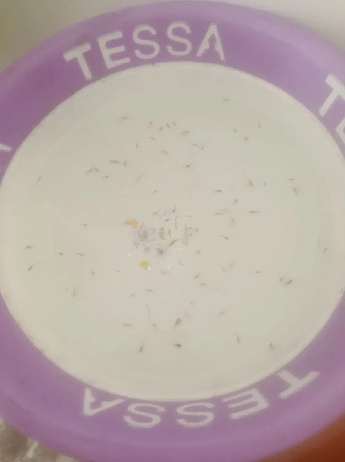 ماهی بچه گوپی|ماهی|قزوین, |دیوار