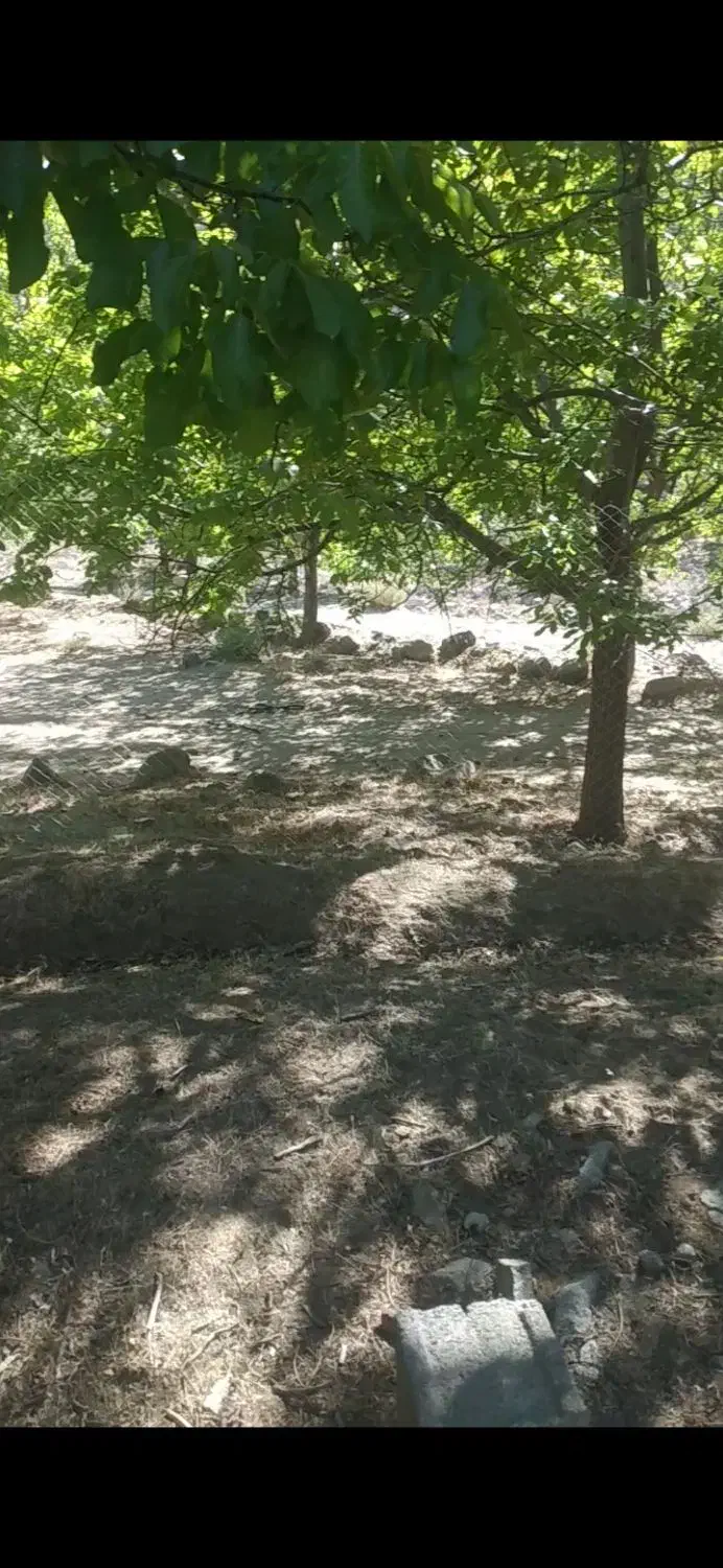 خانه باغ دلفارد|فروش خانه و ویلا|درب بهشت, |دیوار