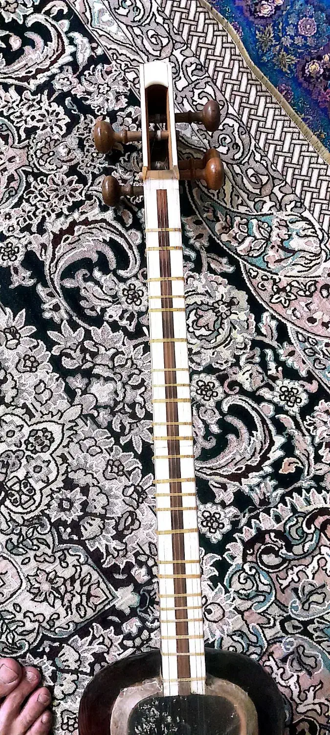 تارحرفه ای مهردار|سازهای سنتی|تهران, فردوس|دیوار