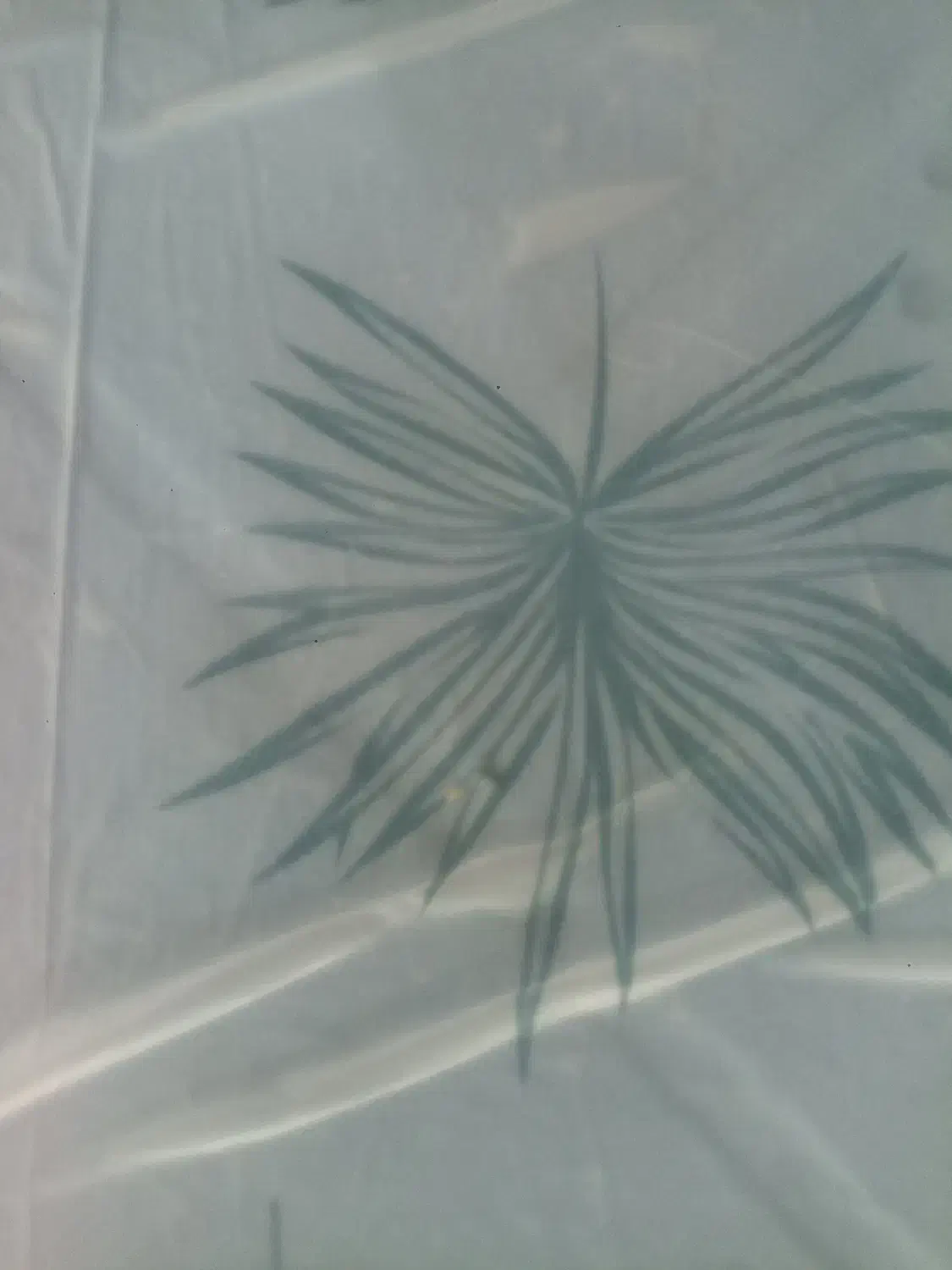 ایفون 16پرو مکس|موبایل|لامرد, |دیوار