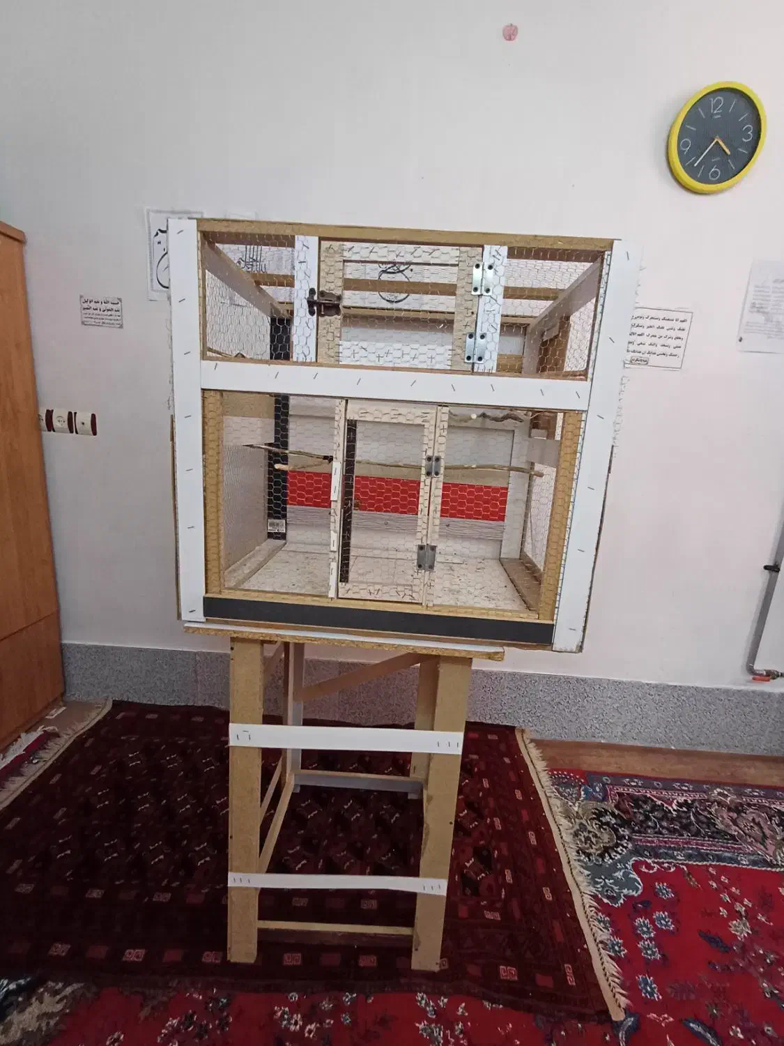 قفس پرنده|لوازم جانبی حیوانات|تربت جام, والفجر|دیوار