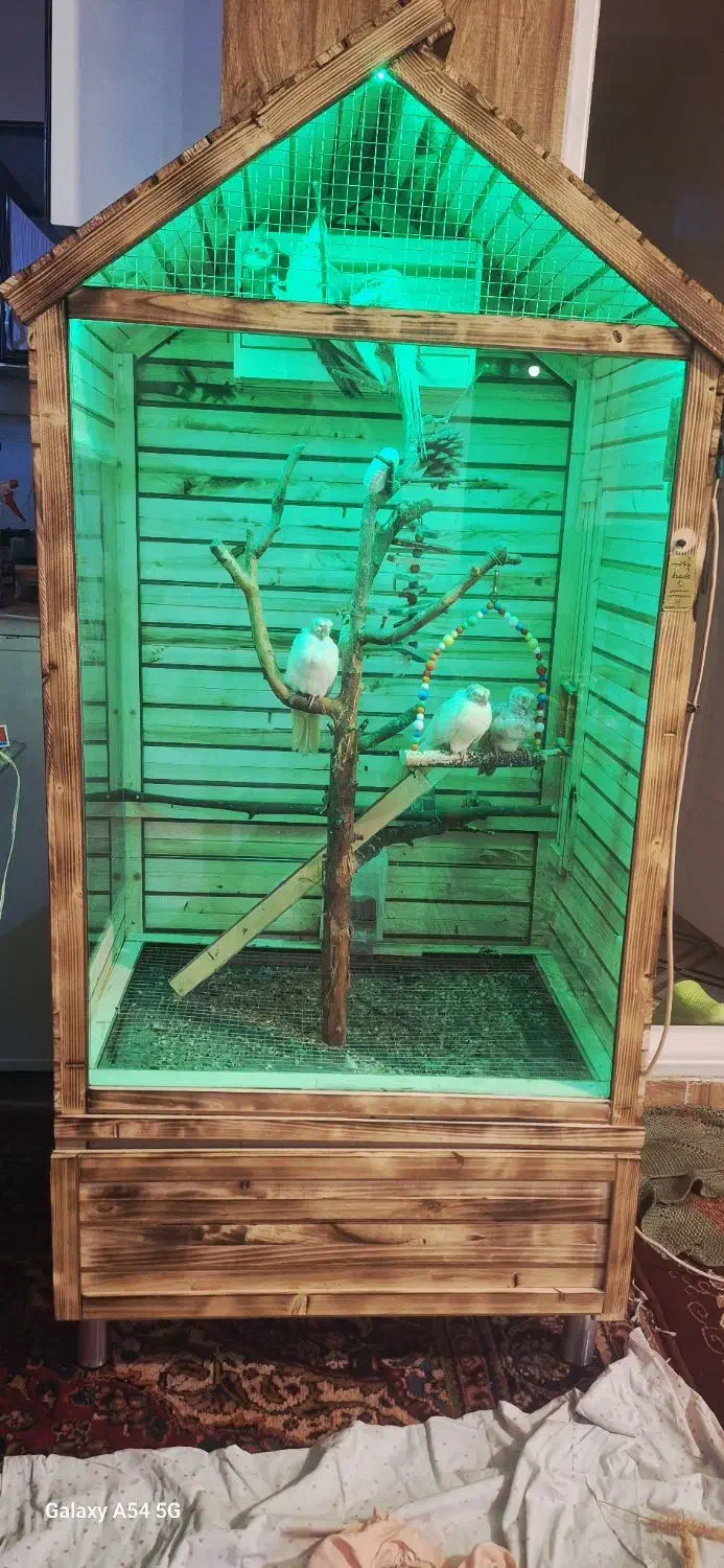 قفس چوبی پرنده|لوازم جانبی حیوانات|خوی, |دیوار