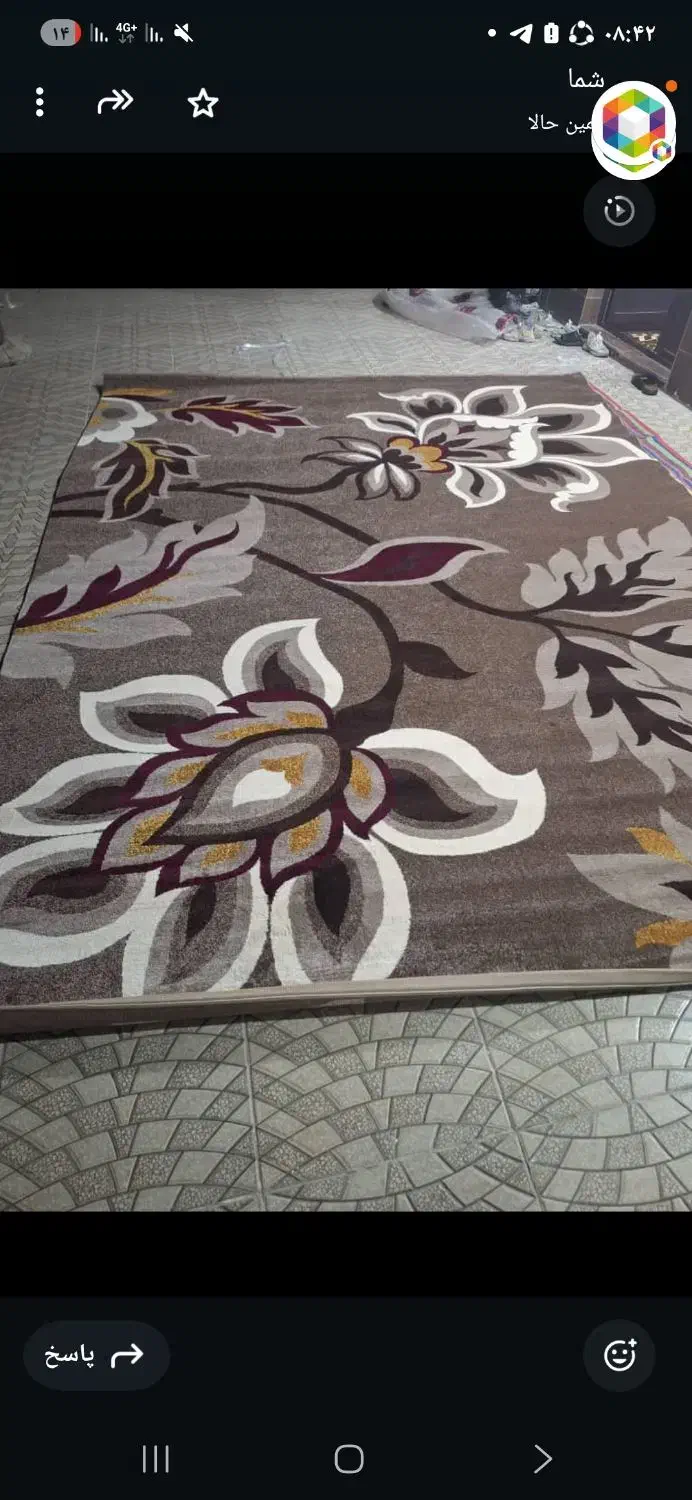 حراج یه جفت گلیم فرش نونو نو|گلیم، جاجیم، گبه|دوگنبدان, |دیوار