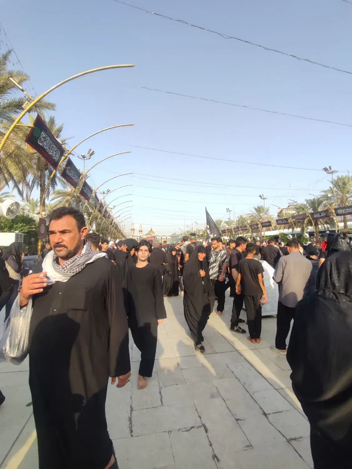 کربلا|تور و چارتر|بوشهر, |دیوار