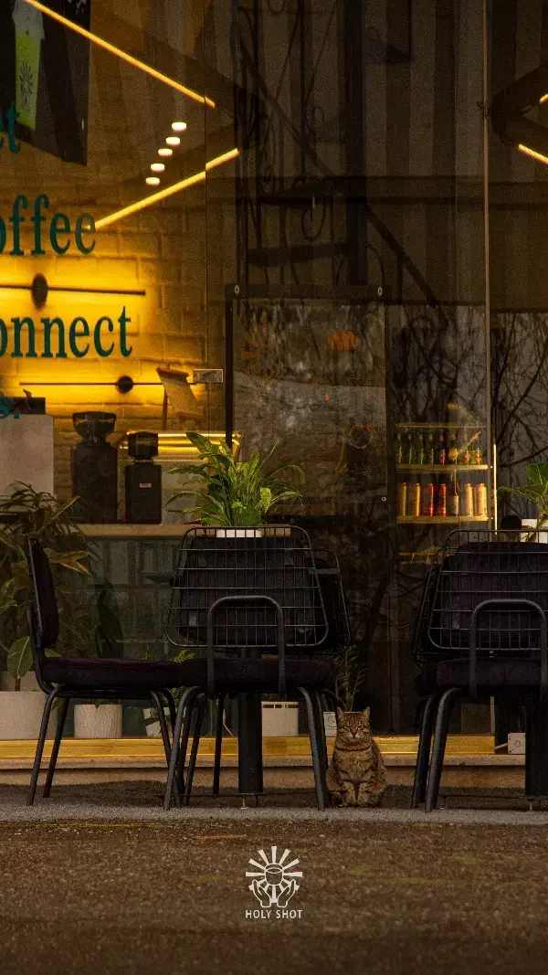 باریستا|استخدام خدمات فروشگاه و رستوران|رشت, گلسار|دیوار