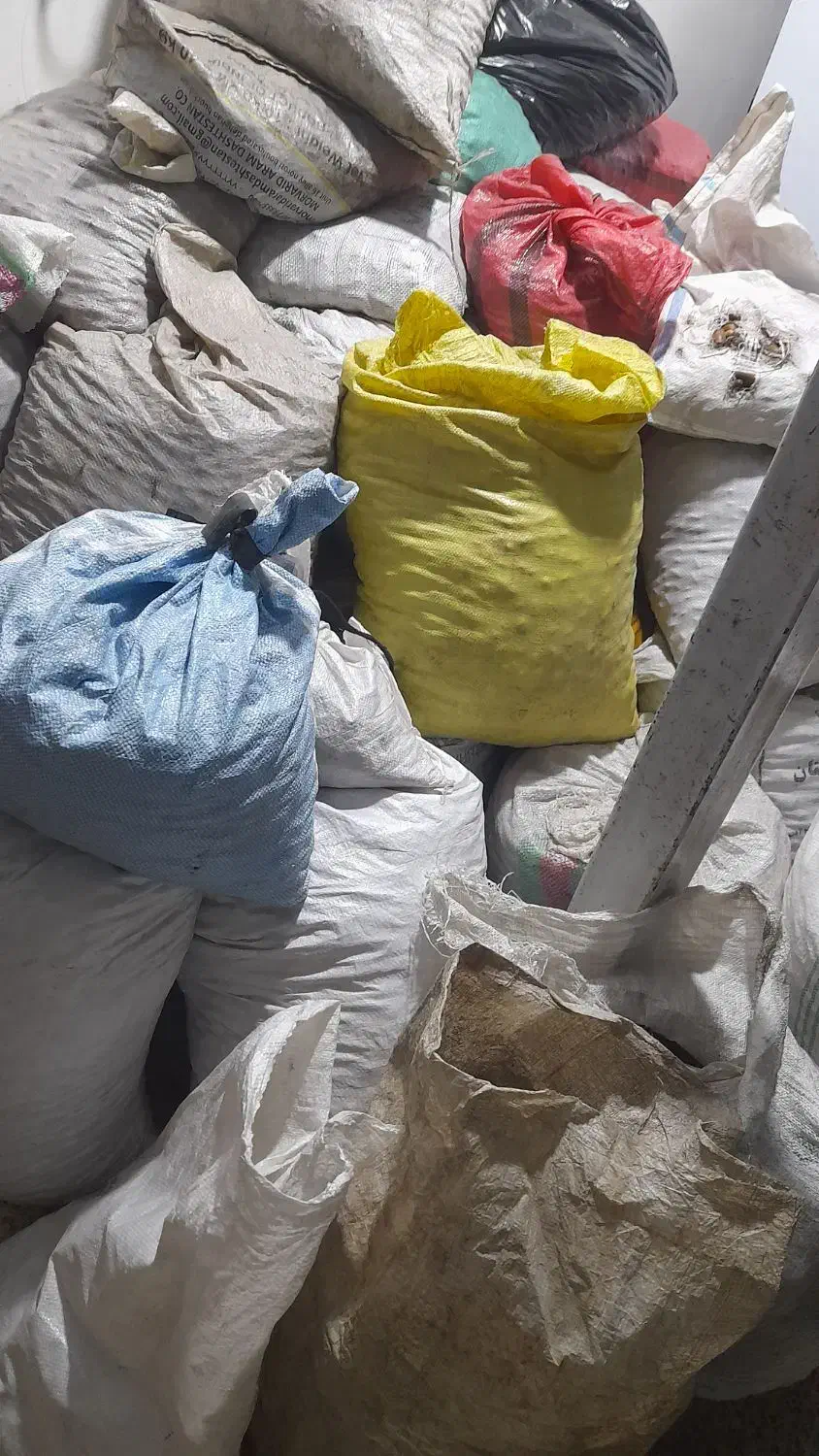 بلوط (بلور)|عمده‌فروشی|گنبد کاووس, |دیوار