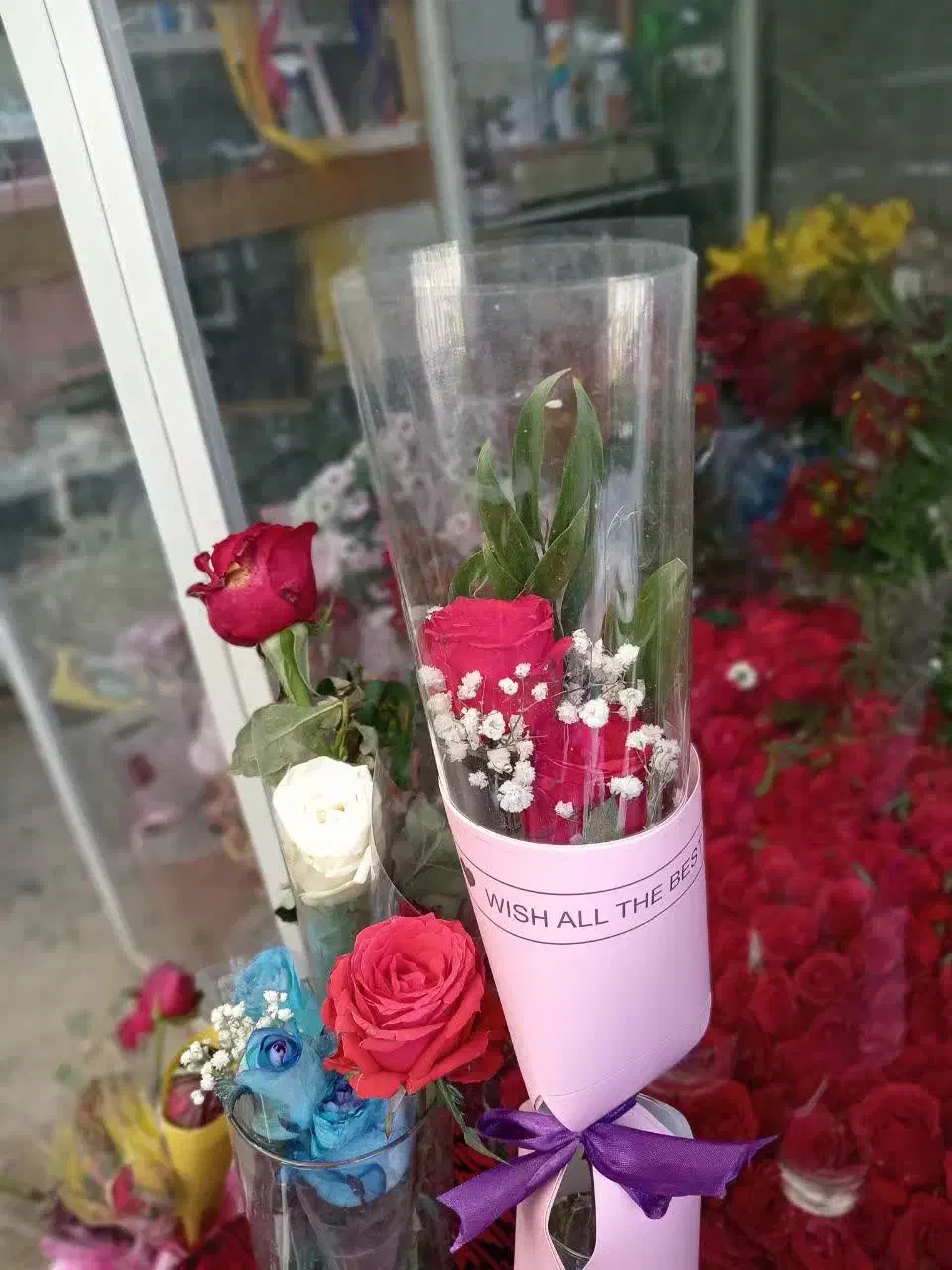 گل رز شاخه|گل و گیاه طبیعی|بیرجند, |دیوار