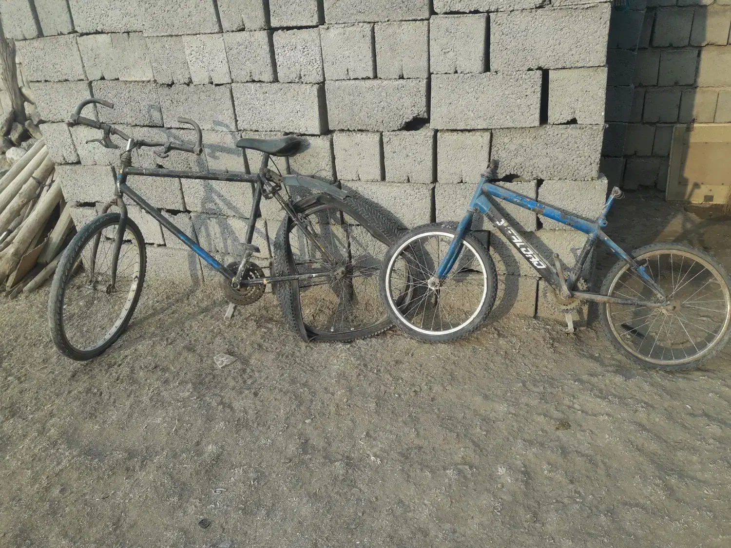 دوچرخه|دوچرخه، اسکیت، اسکوتر|پلدشت, |دیوار