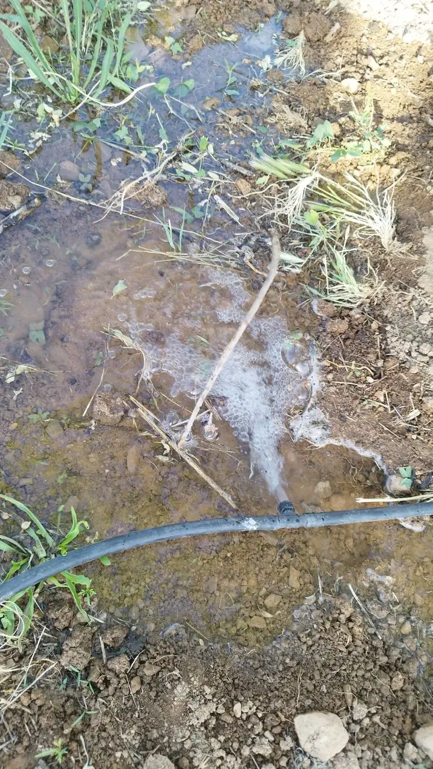 فروش چند قطعه باغ بار بده پل زمانخان|فروش زمین و ملک کلنگی|خمینی‌شهر, |دیوار