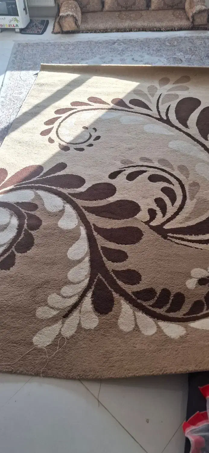 قالیچه|فرش|مشهد, جاهد شهر|دیوار