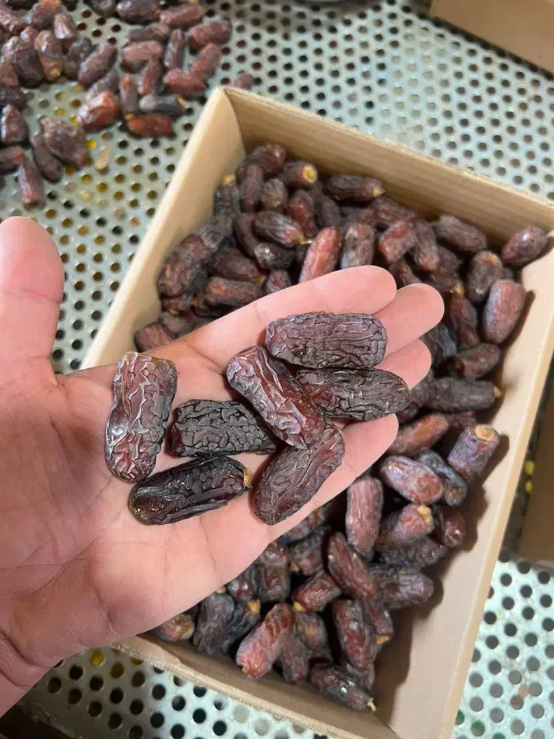 خرمای پیارم و مجول|عمده‌فروشی|حاجی آباد, |دیوار