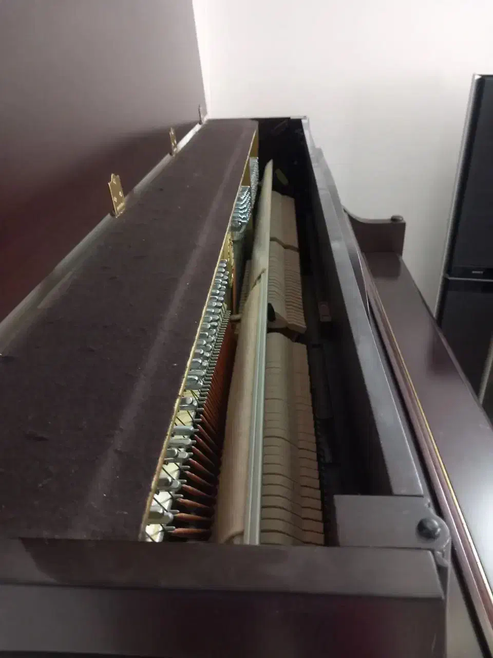 پیانو|پیانو، کیبورد، آکاردئون|تهران, چیذر|دیوار