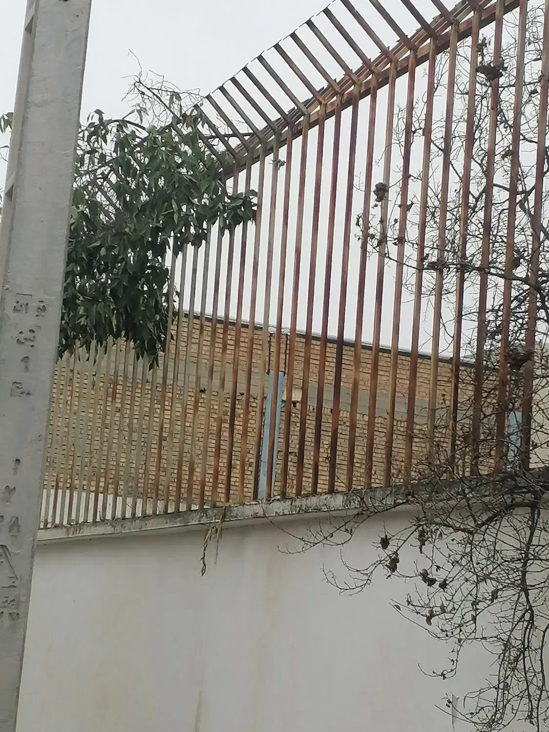 نرده روی دیوار درحد تمیز 2متری|مصالح و تجهیزات ساختمان|گنبد کاووس, |دیوار