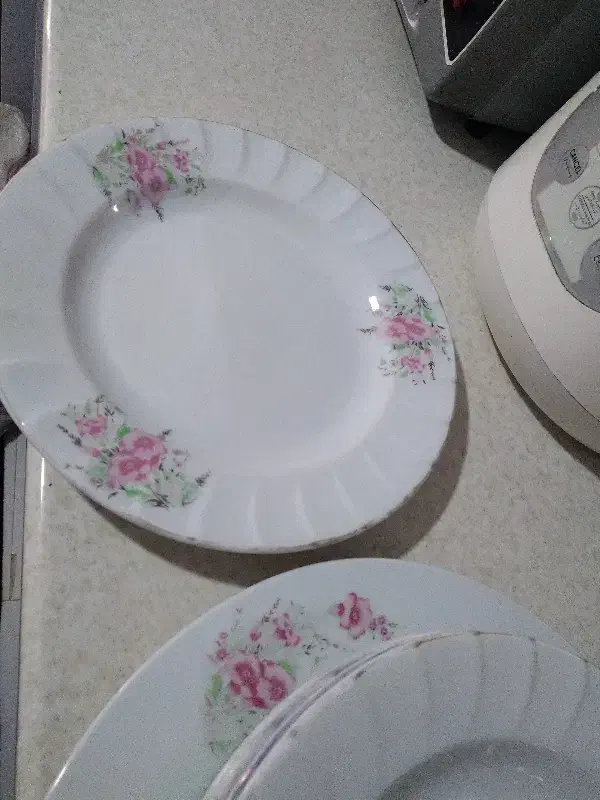 ظروف چینی|ظروف سرو و پذیرایی|پردیس, فاز ۵|دیوار