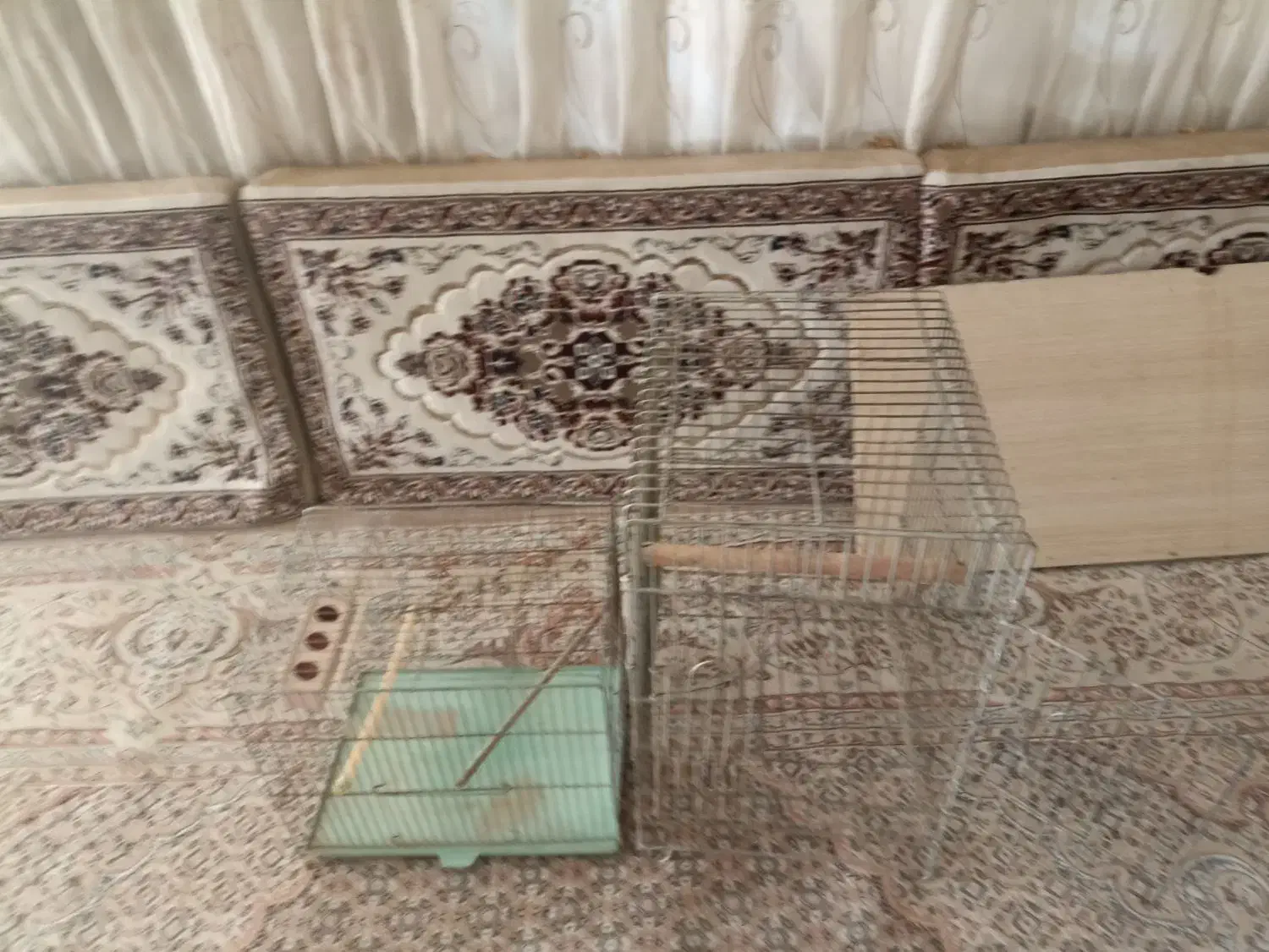 قفس پرنده|لوازم جانبی حیوانات|قم, تعویض پلاک|دیوار