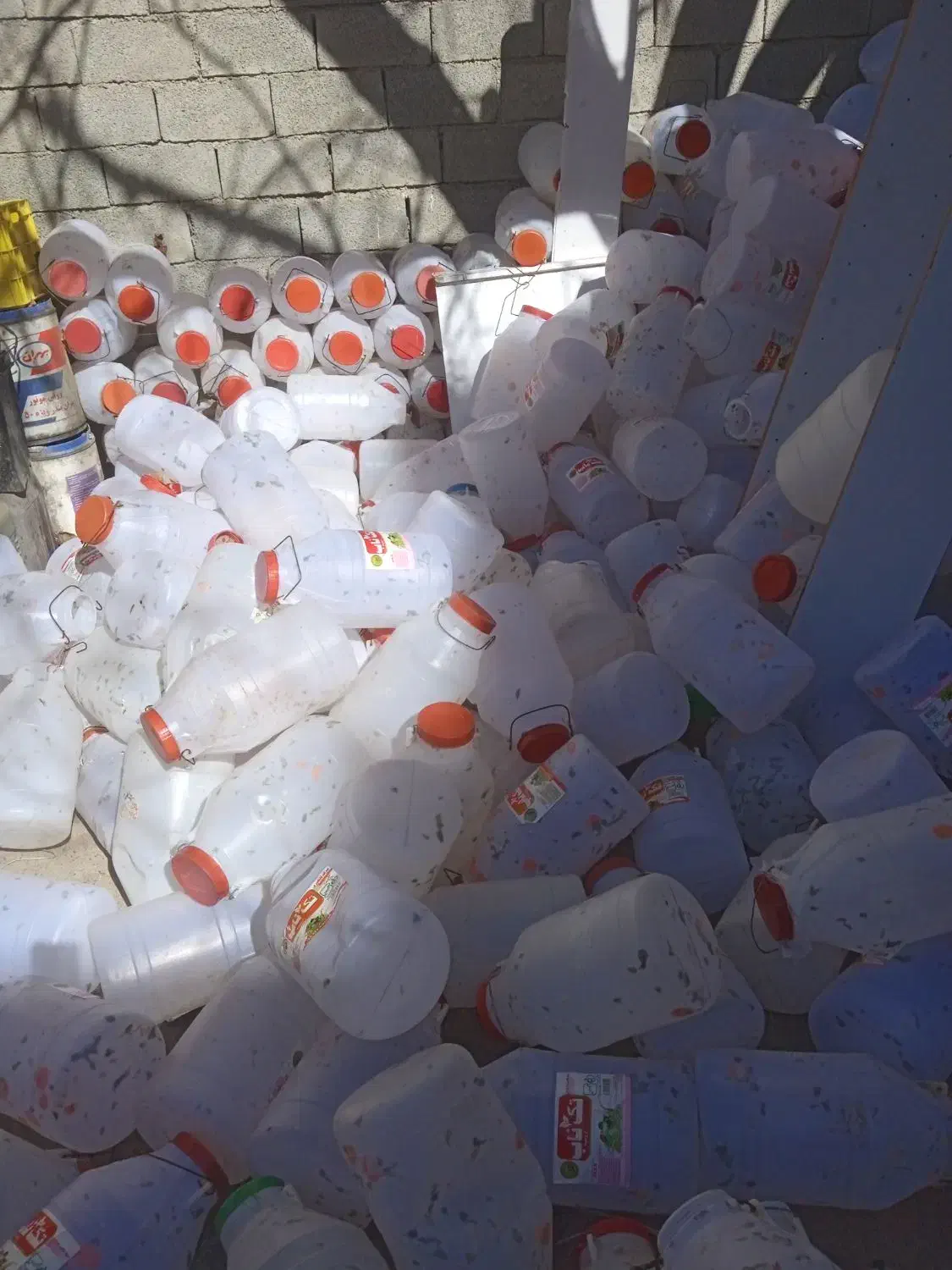 دبه|ظروف نگهدارنده، پلاستیکی، یک‌بارمصرف|سقز, |دیوار