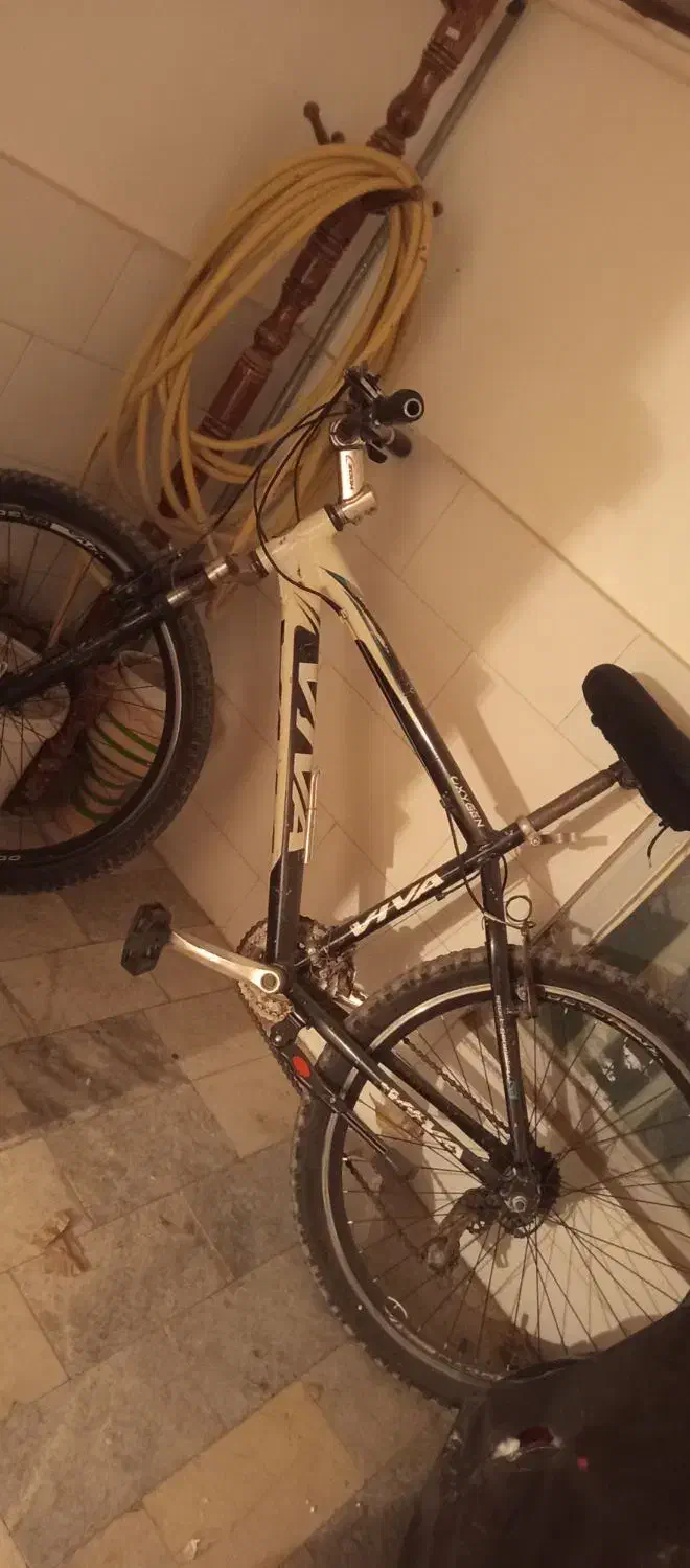 دوچرخه فروشی|دوچرخه، اسکیت، اسکوتر|بافت, |دیوار