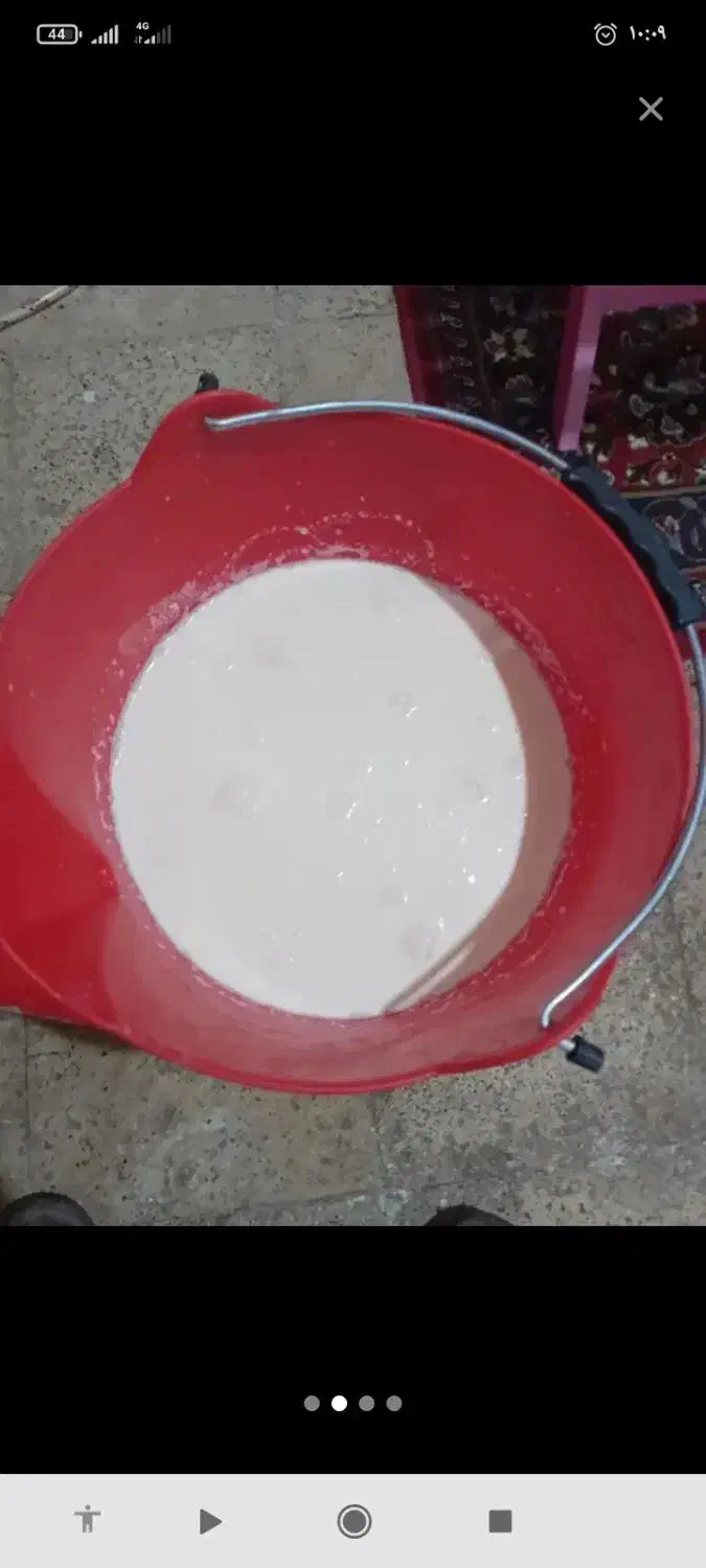 شیر گاو تازه|خوردنی و آشامیدنی|مشهد, کلاکوب|دیوار