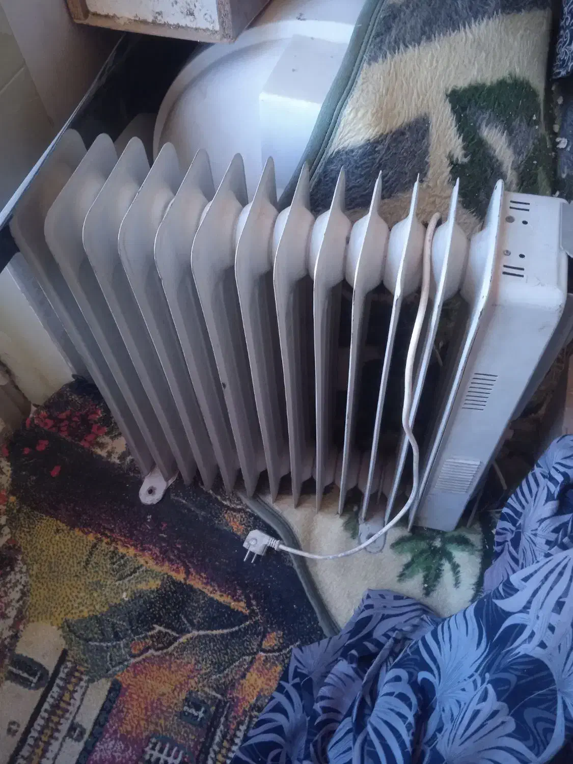 فرش نو دو روز بیشتر پهن نشده|فرش|تربتحیدریه, پائین ولایت|دیوار