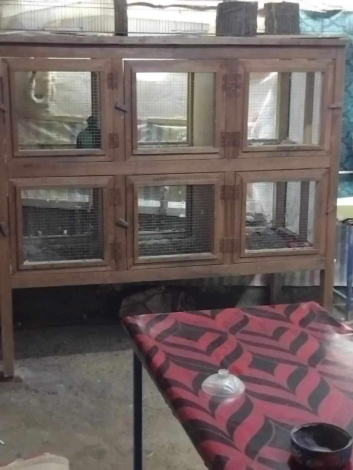 فروشی|لوازم جانبی حیوانات|ملکان, |دیوار