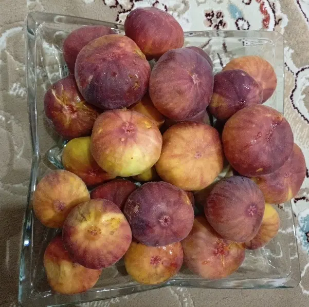 انجیر|خوردنی و آشامیدنی|ایوان, |دیوار