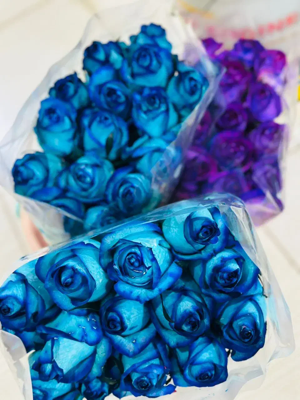 گلجهتحجاجوکربلاییهایعزیز|گل مصنوعی|بیرجند, |دیوار