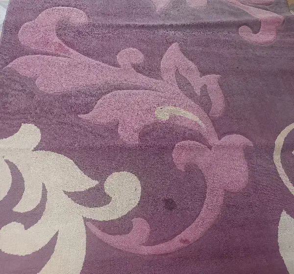 تعدادی فرش دست دوم|فرش|باوی, |دیوار