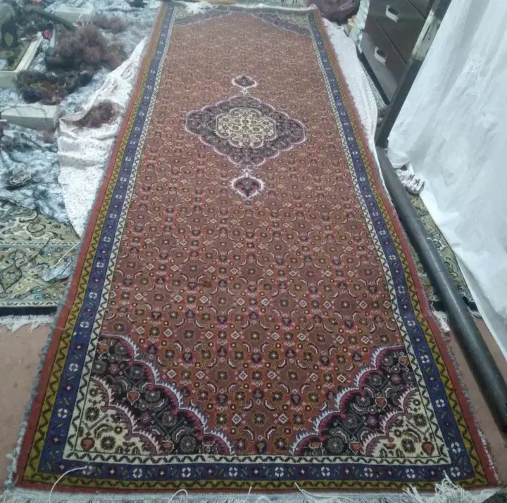 فرش دست بافت ریزه ماهی کناره|فرش|اردبیل, |دیوار