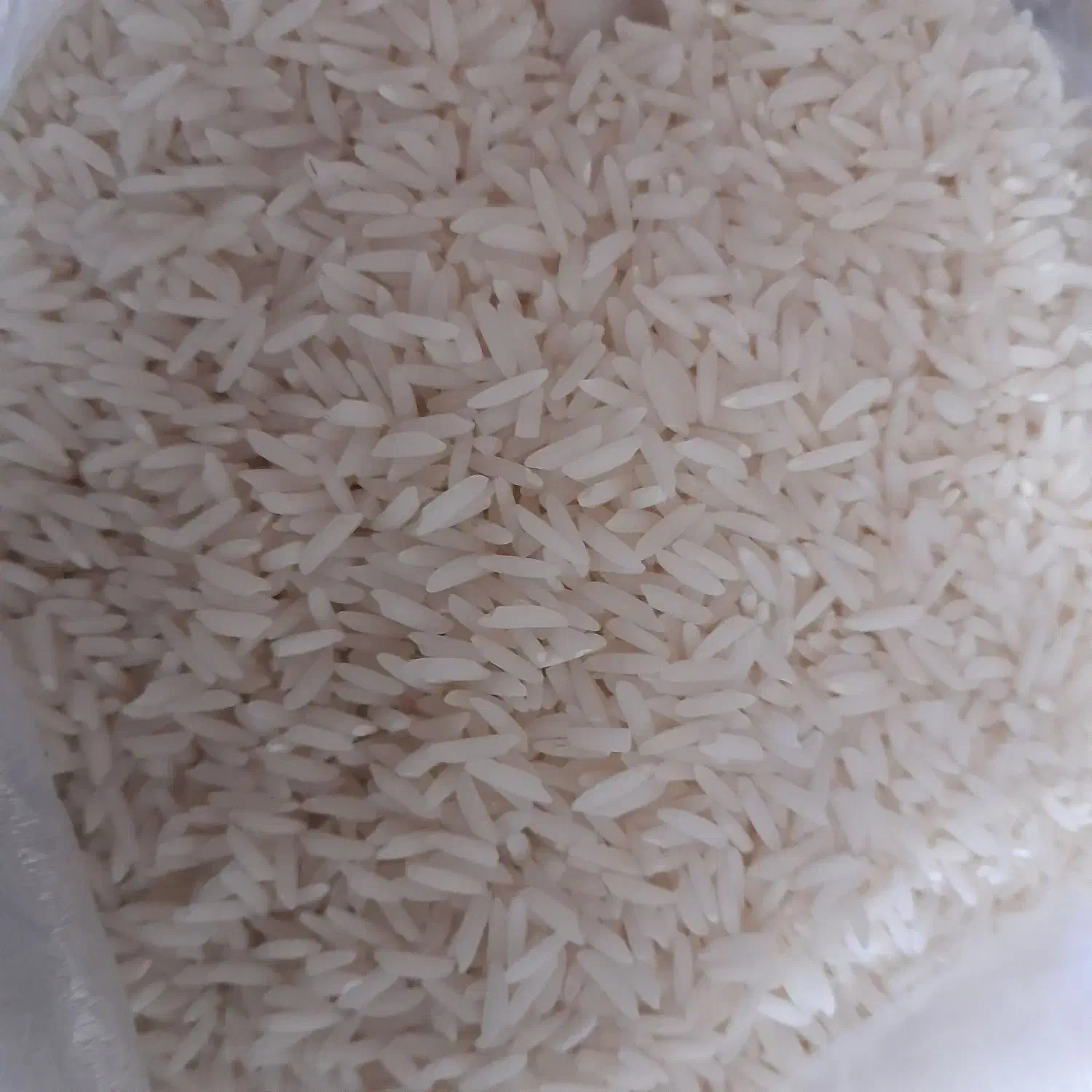 برنج پاکستانی|خوردنی و آشامیدنی|تبریز, |دیوار