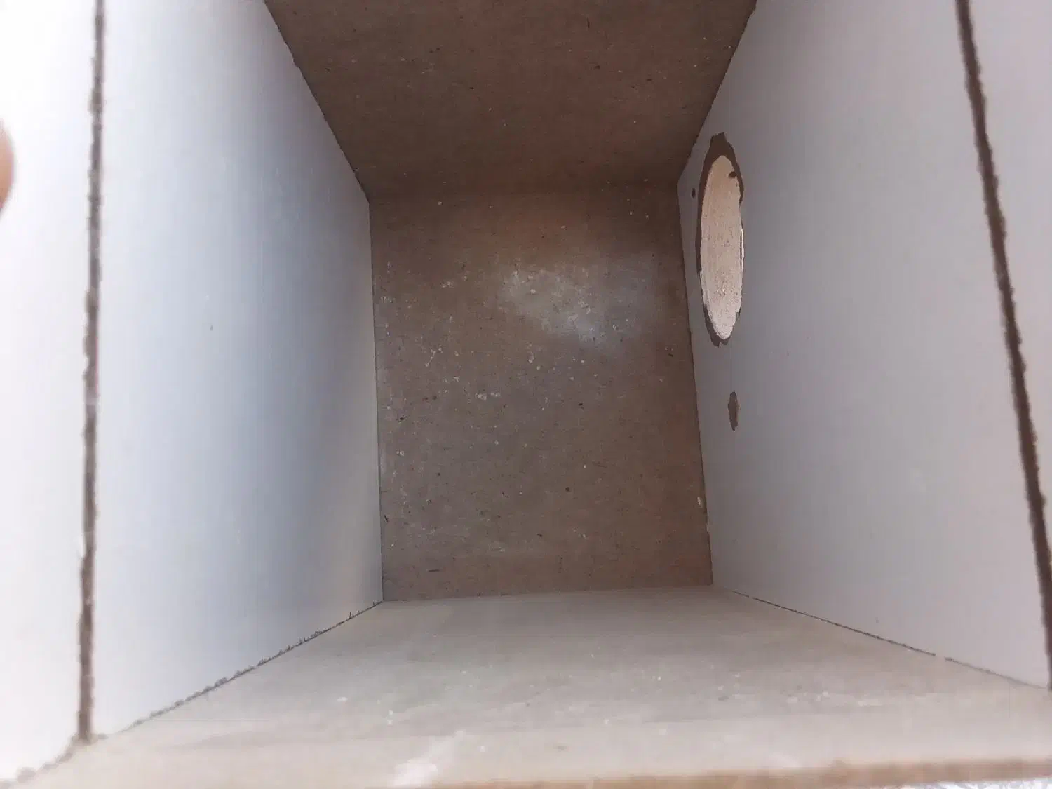 لانه پرنده|لوازم جانبی حیوانات|دوگنبدان, |دیوار