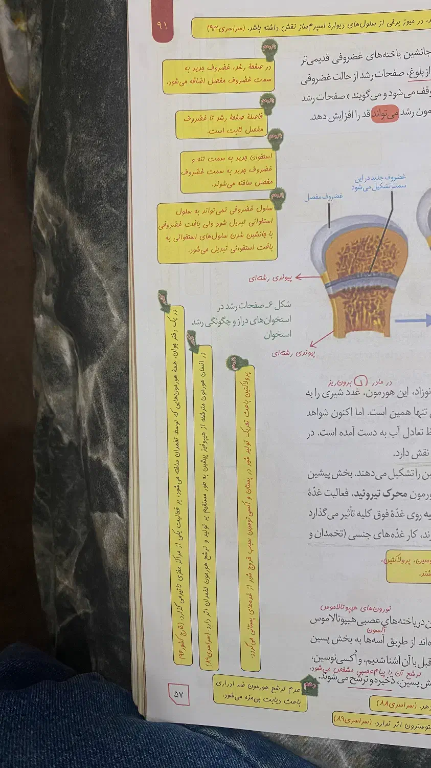 حاشیه نویسی یازدهم|کتاب و مجله آموزشی|اهواز, لشکرآباد|دیوار