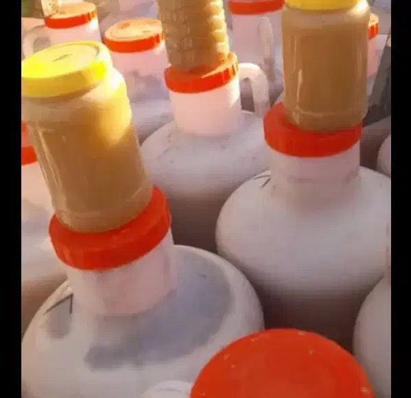 عسل کنار|خوردنی و آشامیدنی|قم, الوندیه و گذر صادق|دیوار